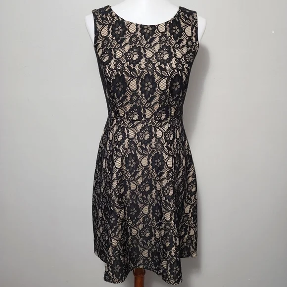 Enfocus Studio | Dresses | Enfocus Studio Black Lace Fit And Flare Dress Size 4 | Poshmark Enfocus Studio | Dresses | Enfocus Studio Black Lace Fit And Flare Dress Size 4 | Poshmark